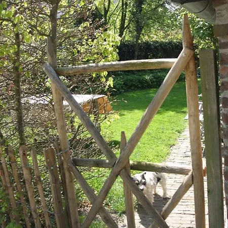 Bed & Breakfast De Leeghpoel Rumpt