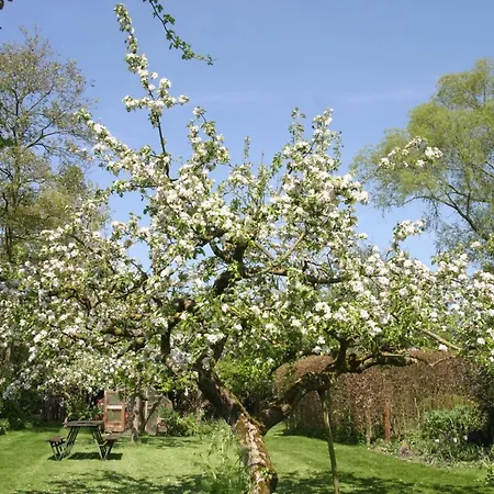 Bed & Breakfast De Leeghpoel Rumpt