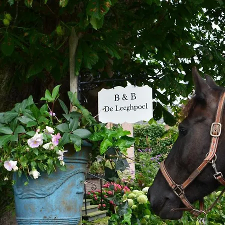 Bed & Breakfast De Leeghpoel Rumpt