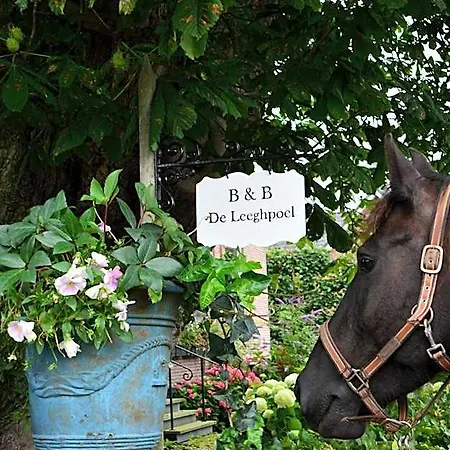 De Leeghpoel Bed & Breakfast 3*