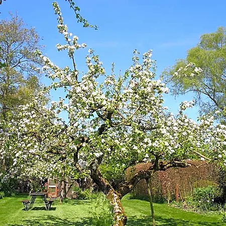 Bed & Breakfast De Leeghpoel Rumpt