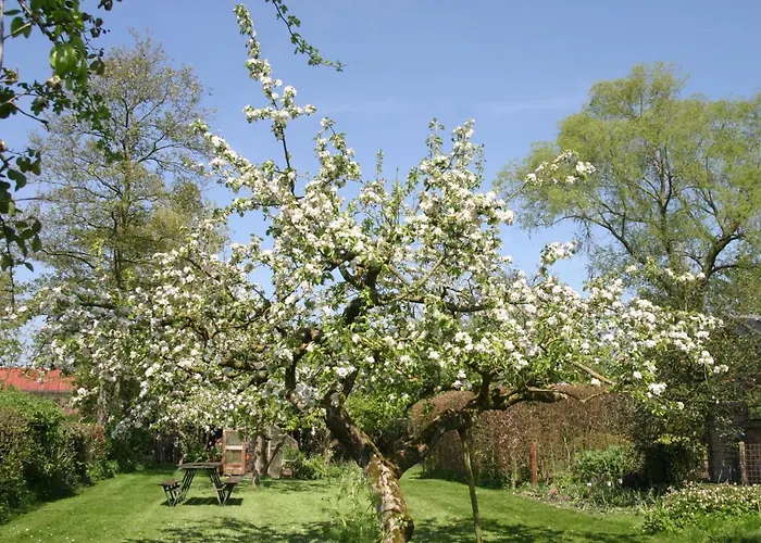 Bed and Breakfast De Leeghpoel Rumpt