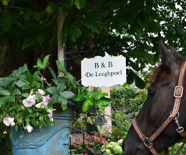 Bed and Breakfast De Leeghpoel Rumpt